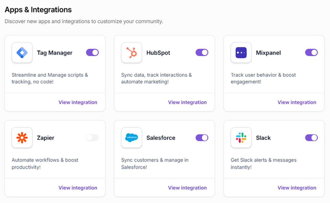 Dashboard showing Tag Manager, HubSpot, Mixpanel, Zapier, Salesforce, and Slack integrations for automation